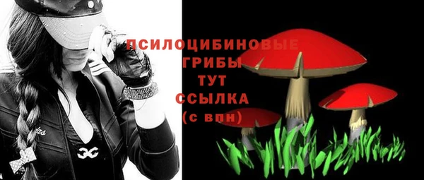 синтетический гашиш Алексин
