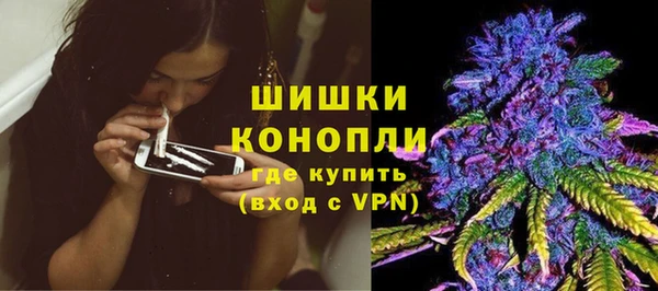 дживик Семикаракорск
