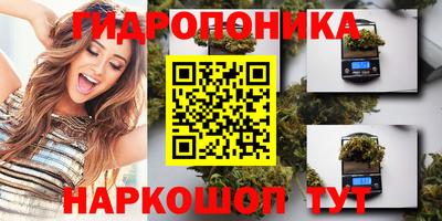 mdma Можга